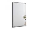 Stainless Steel Frame Mirror - CCM3003