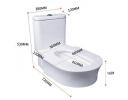 Straight Flush One-piece Toilet - ITA1012