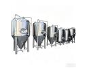 Beer Fermentation - DBB4003