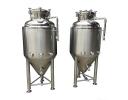 Beer Fermentation - DBB4005